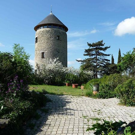 Au Moulin Geant Bed & Breakfast Rochefort-sur-Loire Exterior photo