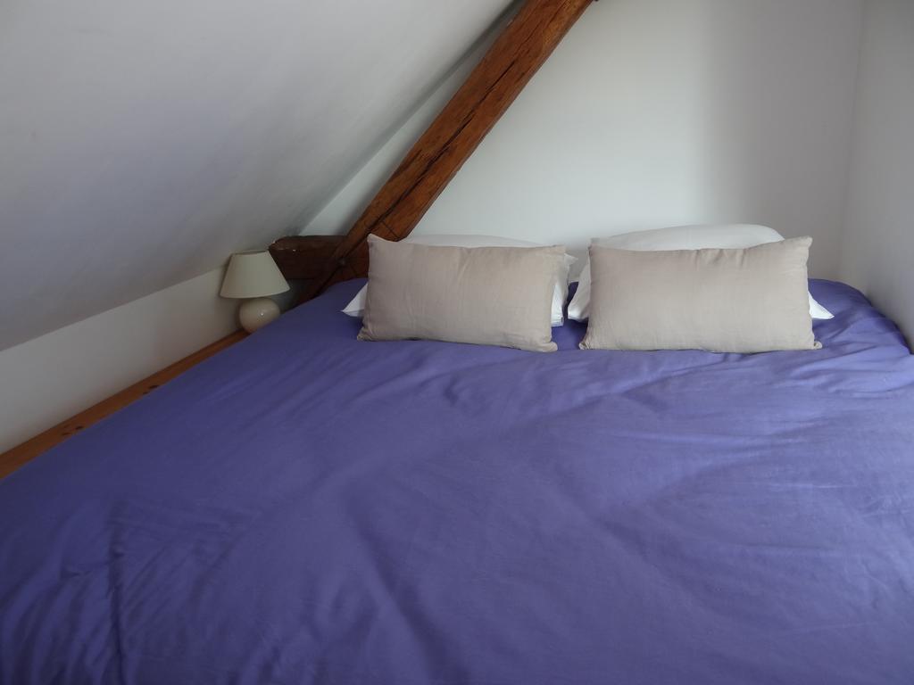 Au Moulin Geant Bed & Breakfast Rochefort-sur-Loire Room photo