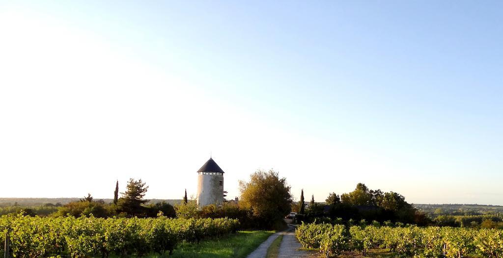 Au Moulin Geant Bed & Breakfast Rochefort-sur-Loire Exterior photo