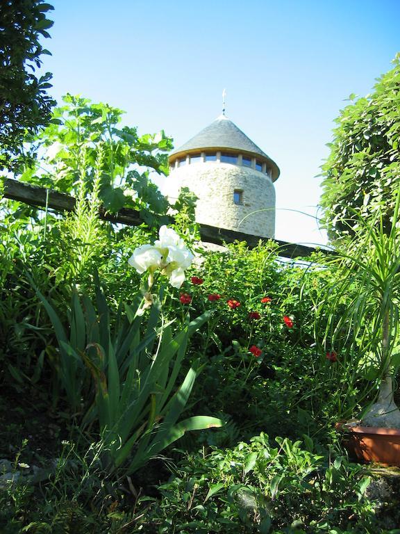 Au Moulin Geant Bed & Breakfast Rochefort-sur-Loire Exterior photo