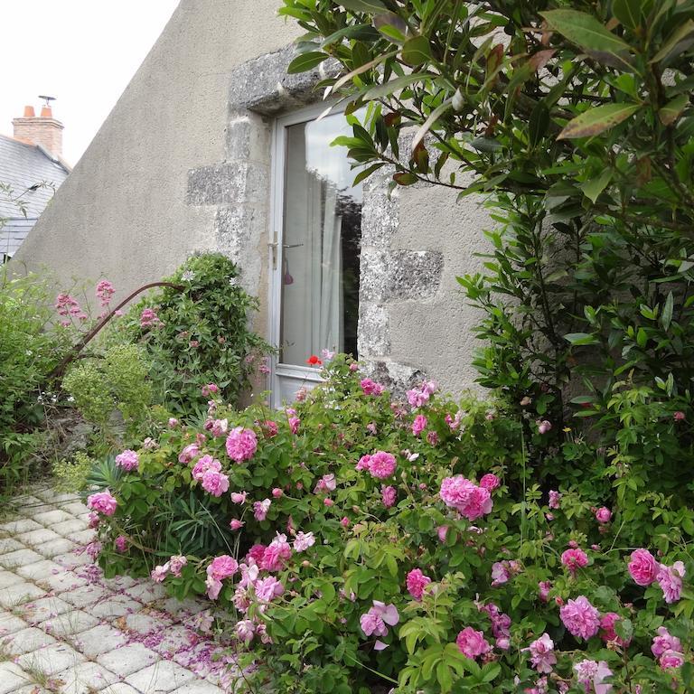 Au Moulin Geant Bed & Breakfast Rochefort-sur-Loire Room photo