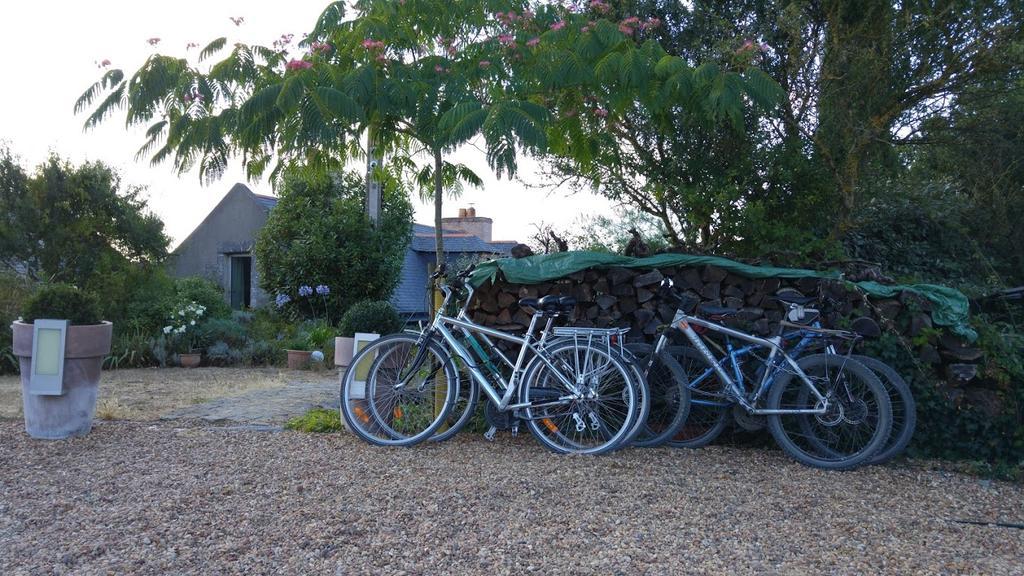 Au Moulin Geant Bed & Breakfast Rochefort-sur-Loire Exterior photo